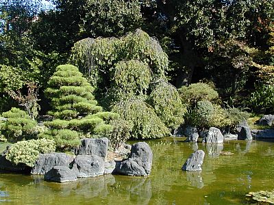 Japanese Garden im Arboretums